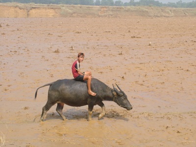 Hà bá “nuốt” làng sau lũ  - 6